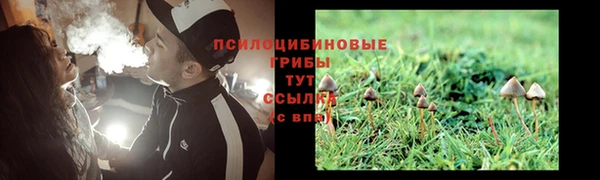 гидропоника Абаза