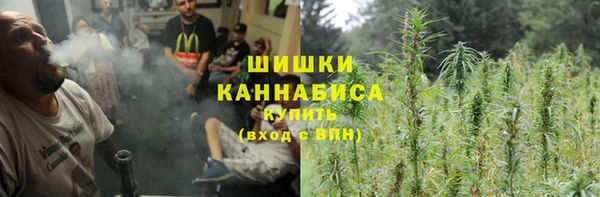 гидропоника Абаза