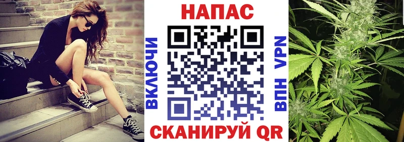 Каннабис OG Kush Железноводск
